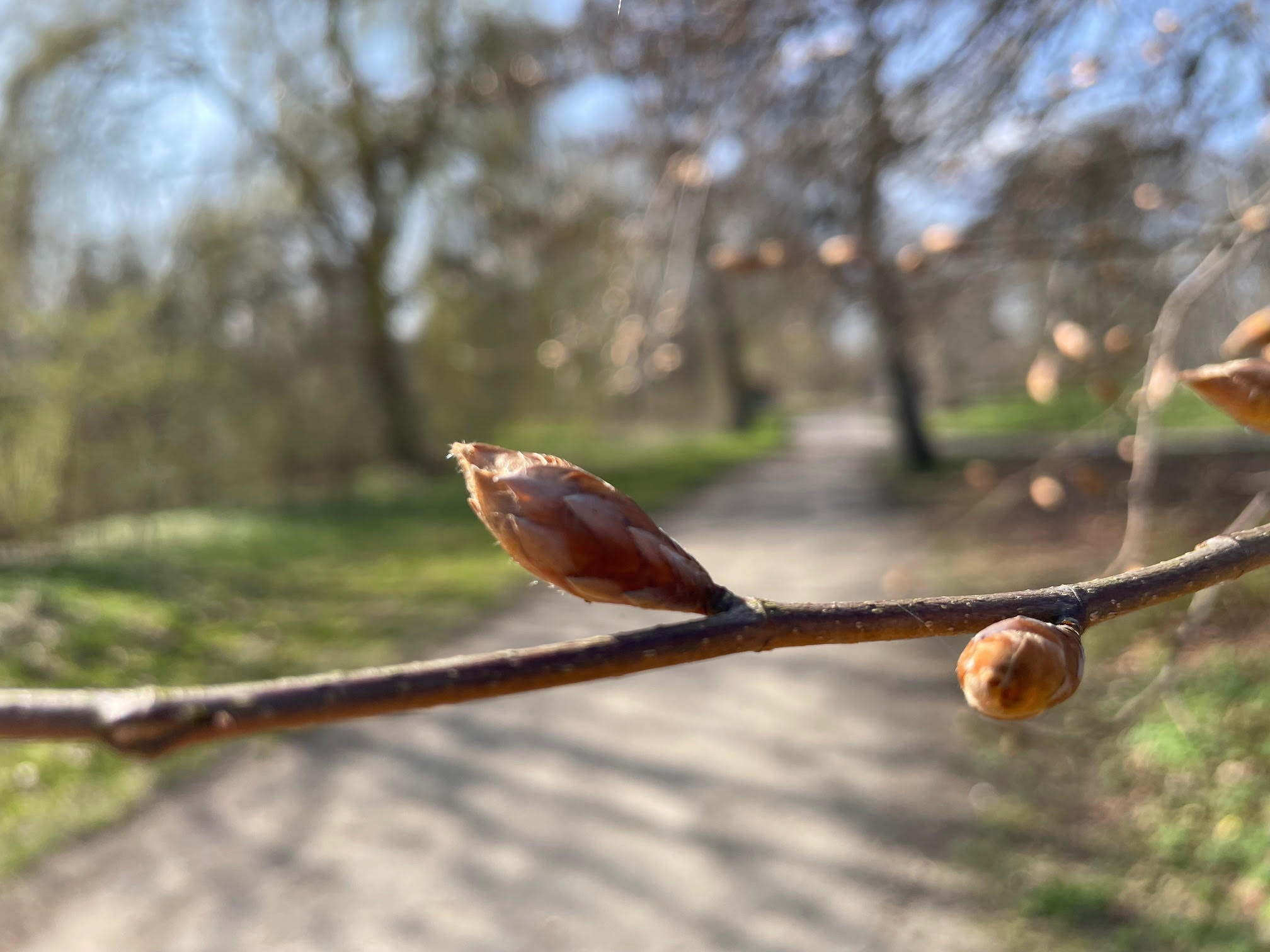 Vi lever redan nära naturen